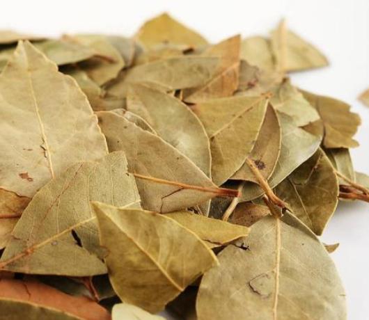 狗狗身上有跳蚤教你一招轻松去除,狗狗身上的跳蚤怎么治小妙招