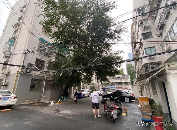 钟英学区房,300万哪的学区房性价比最高