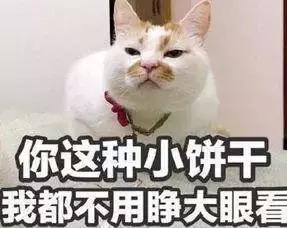 测评网红零食小视频,网红猪饲料零食大礼包测评