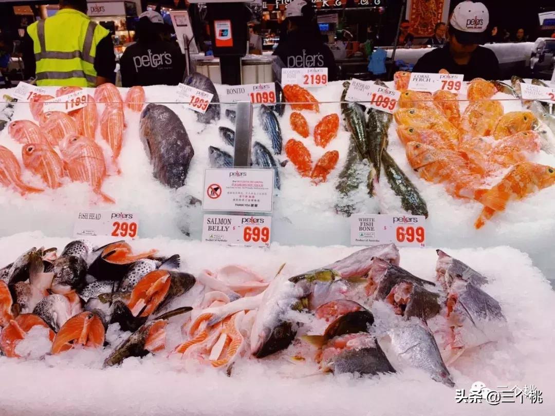 澳洲十二天自由行攻略,澳洲旅游12天自由行攻略