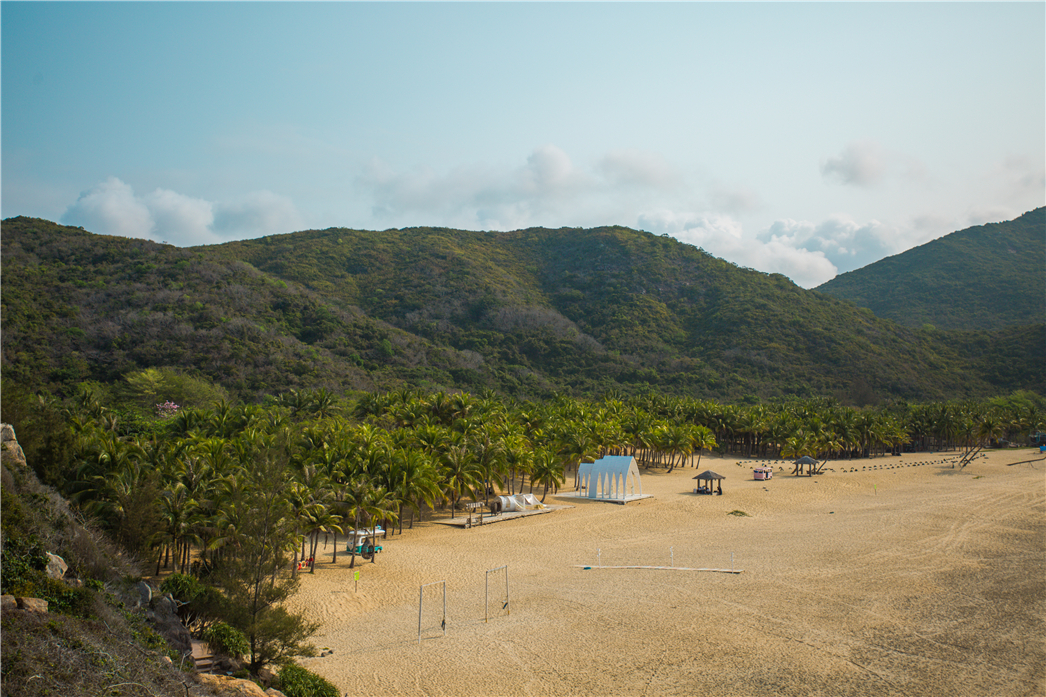 海南必玩猴岛与呆呆丨看萌呆猕猴,呆呆岛发呆