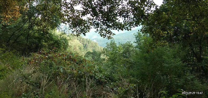 你家乡的俗语有哪些,你家乡方言都有什么俗语