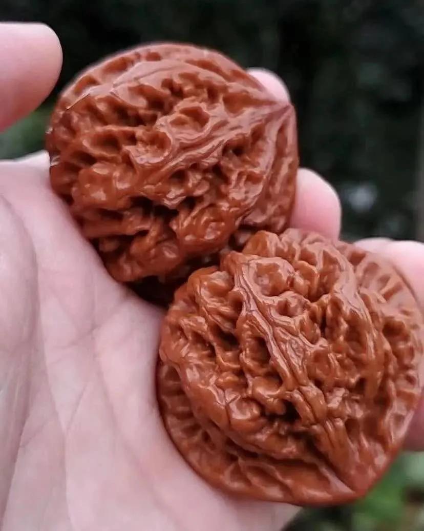 怎样玩核桃视频,新核桃盘玩步骤方法