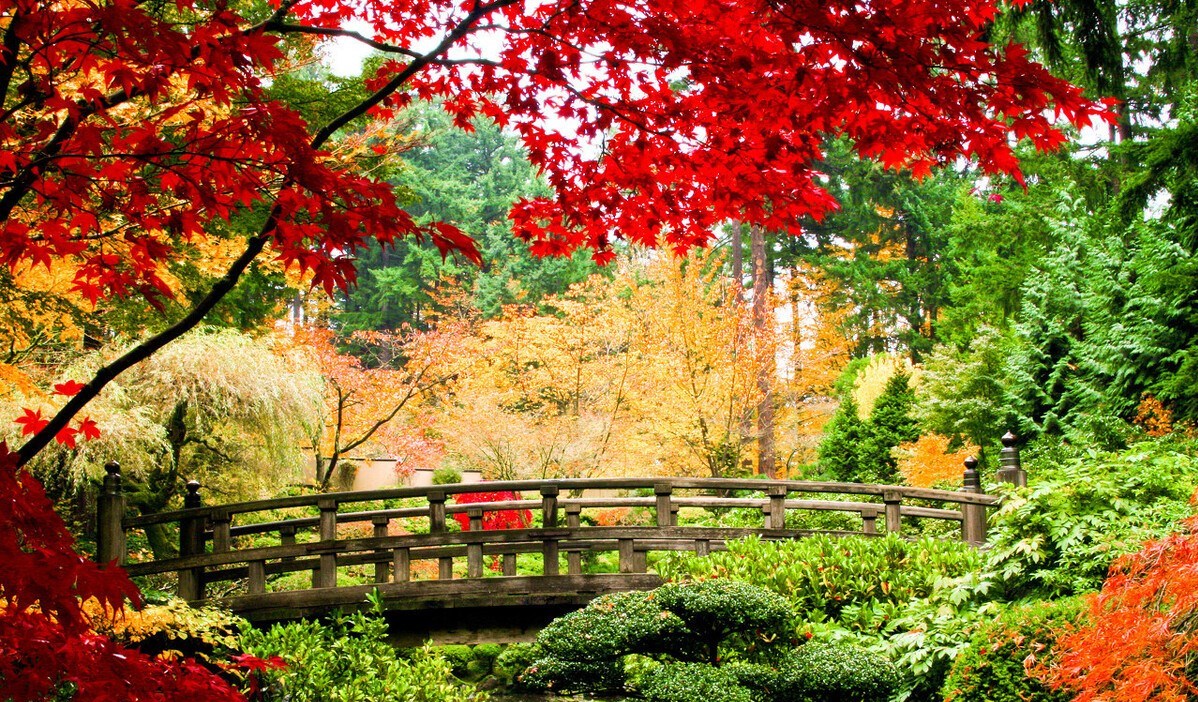 《刀光侠影》45见不平援手助弱者交朋友聚餐白矾楼