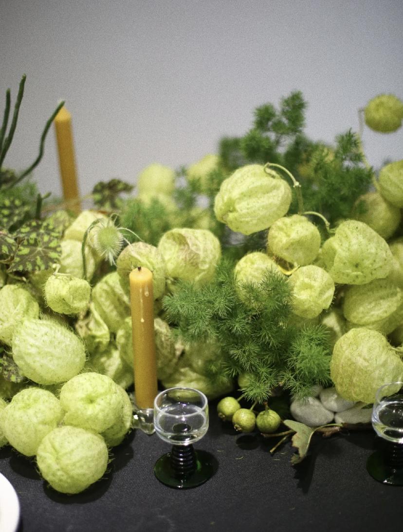 家里要有氛围感什么花比较好,家里高级的花