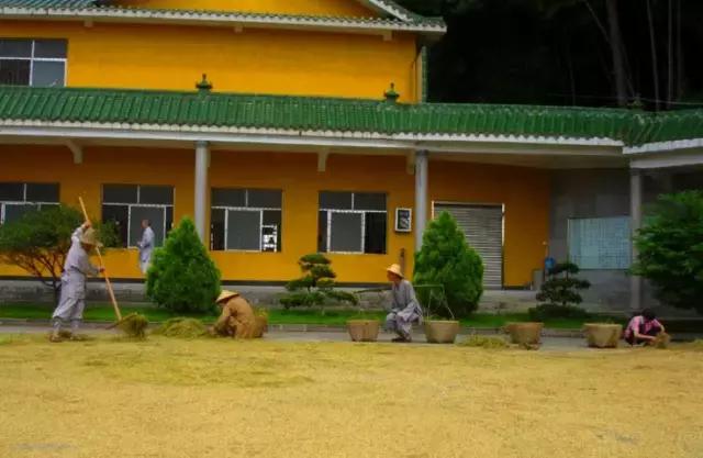 农禅并重的意义,农禅并重的寺院