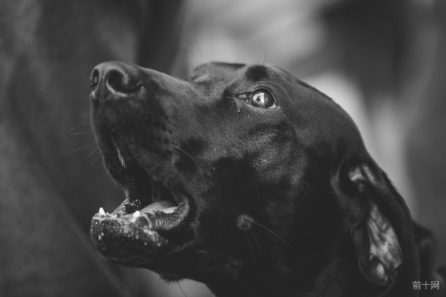 英格兰诡异传说,英格兰故事