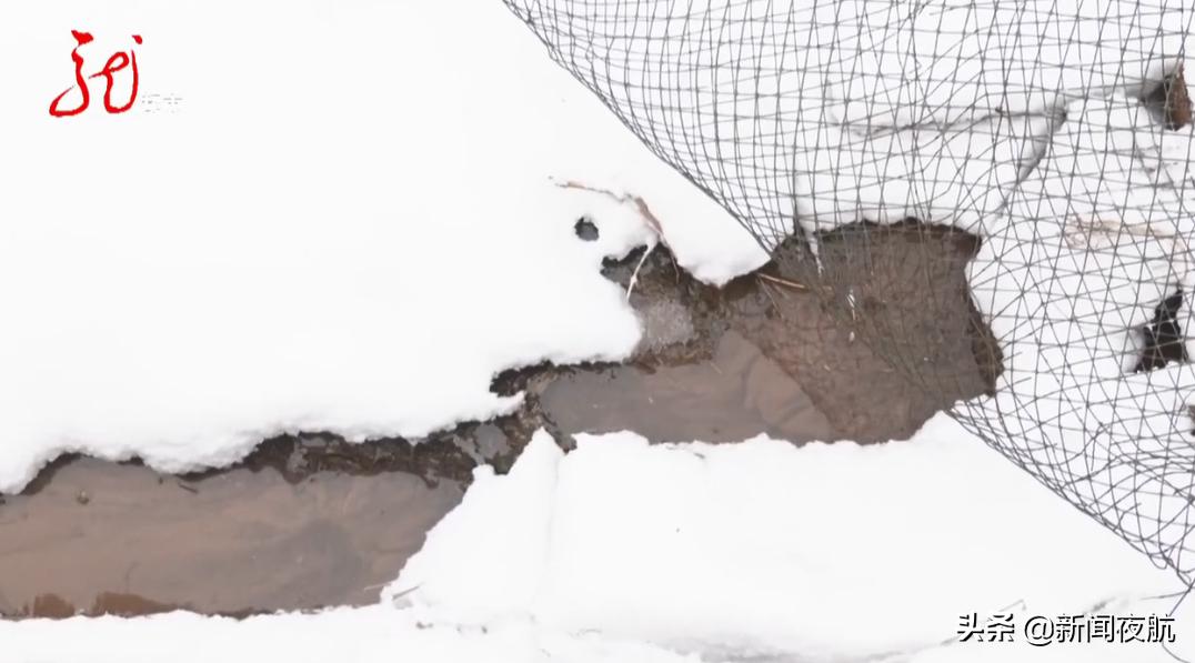 仓买生意看似“火爆”,居民来了却排长队不买东西