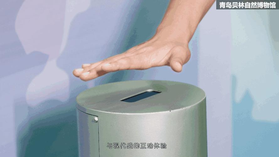 青岛贝林自然博物馆,青岛贝林博物馆门票优惠政策