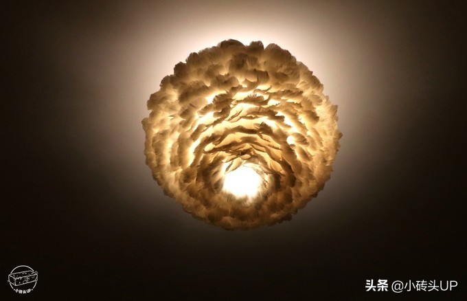 厦门的攻略,厦门的旅游攻略学生版