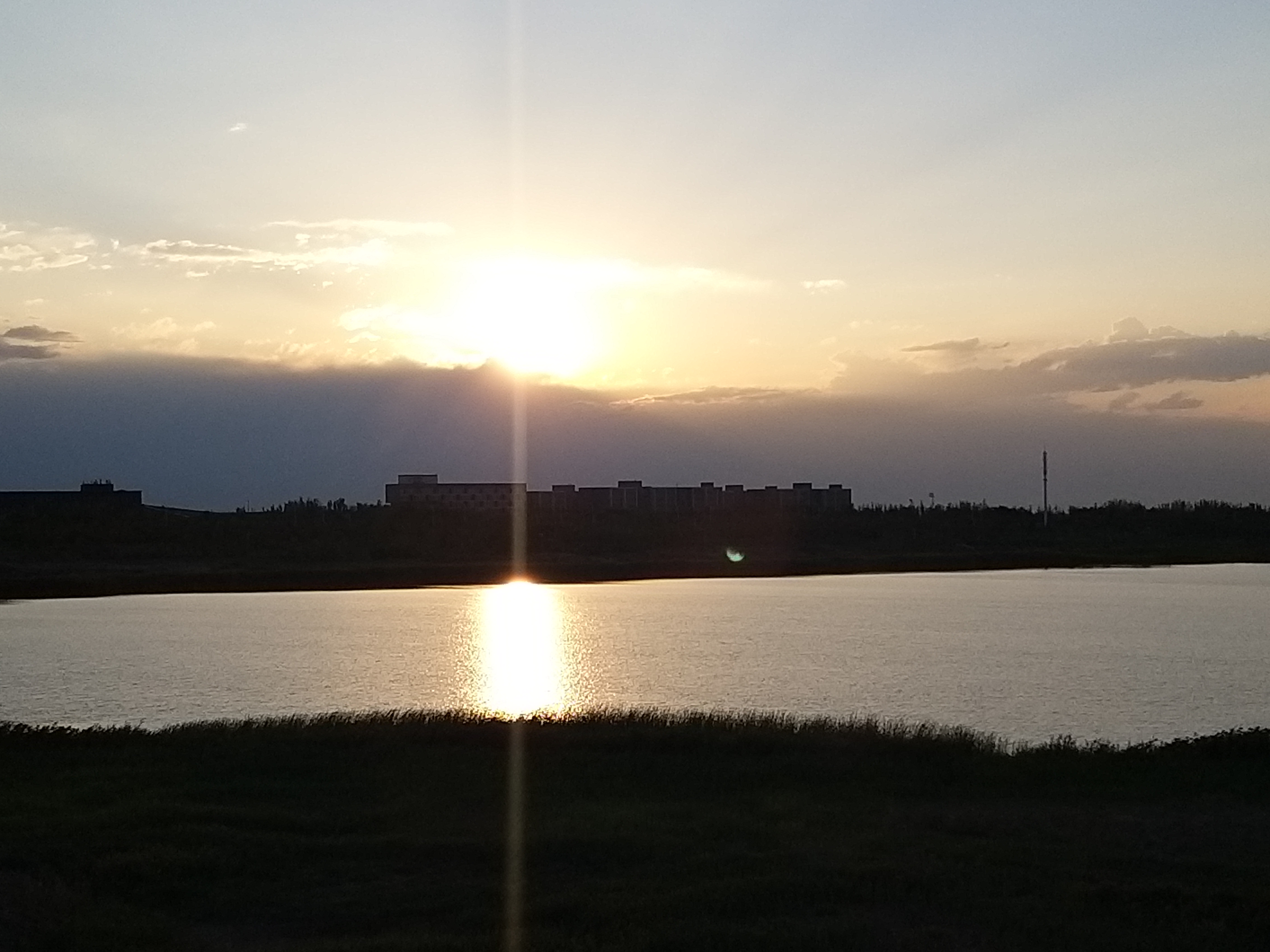 大学该考些什么证,大学该怎么读书籍