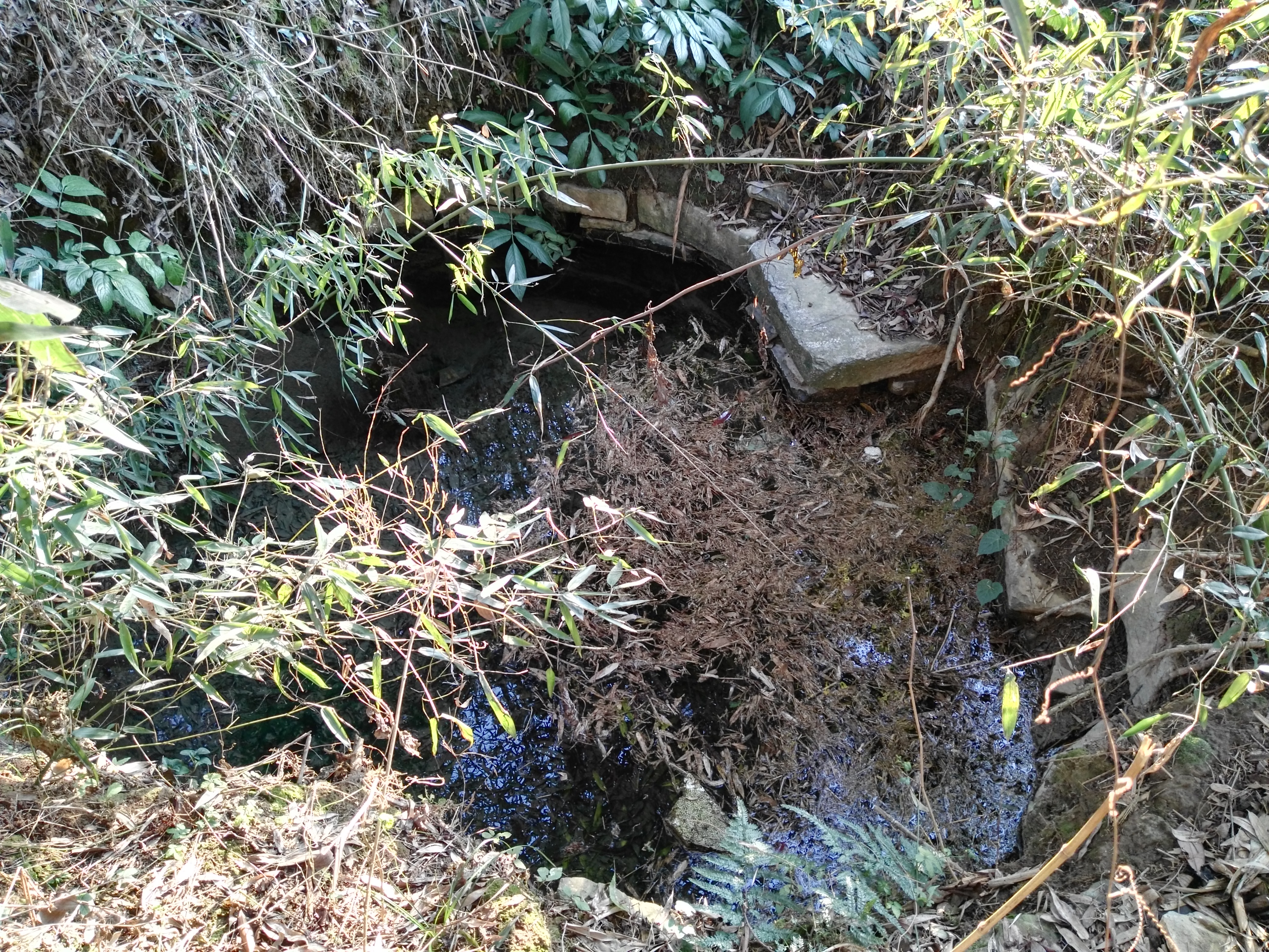 龙潭历史故事简介,旧州龙潭寨