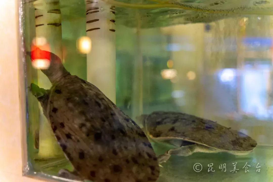 昆明超大餐厅宴会,昆明超大餐厅