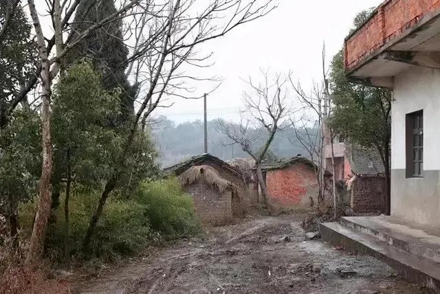 中元节想念天堂的姥姥姥爷,想念去世的姥爷姥姥