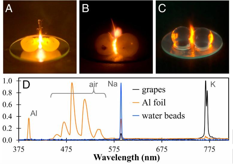 两颗葡萄微波炉加热是真的吗,葡萄为什么会在微波炉中爆炸