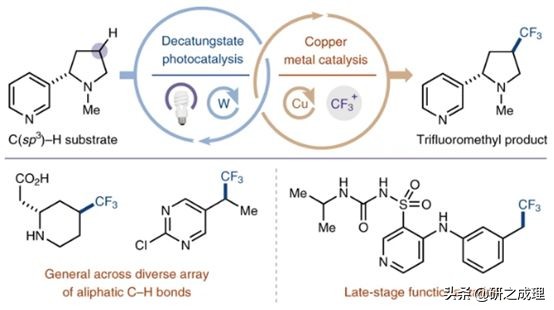 催化周报：10篇子刊，14篇Angew,你想要的前沿都在这里