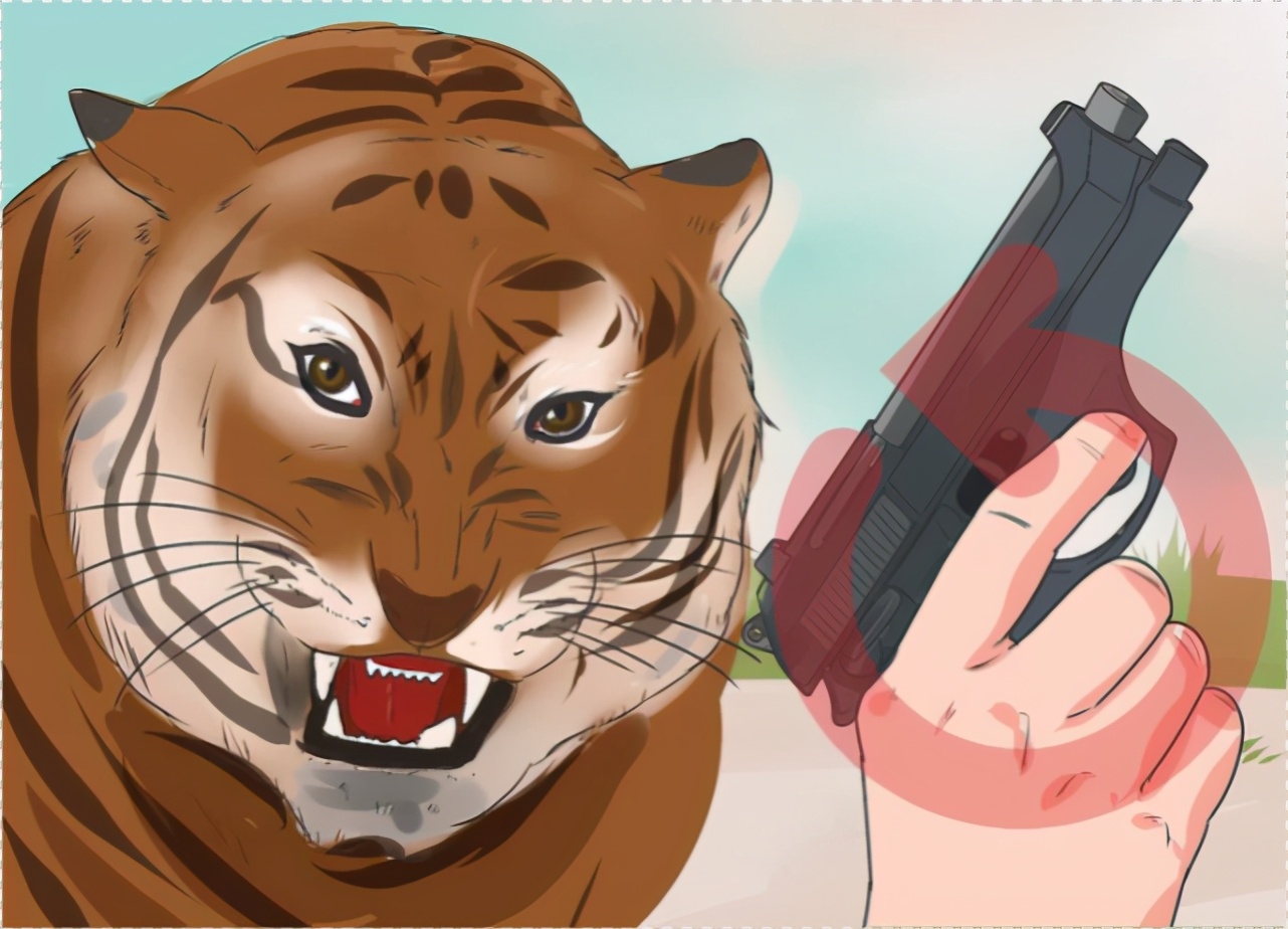 遇见老虎该如何逃生,与老虎狭路相逢怎么办