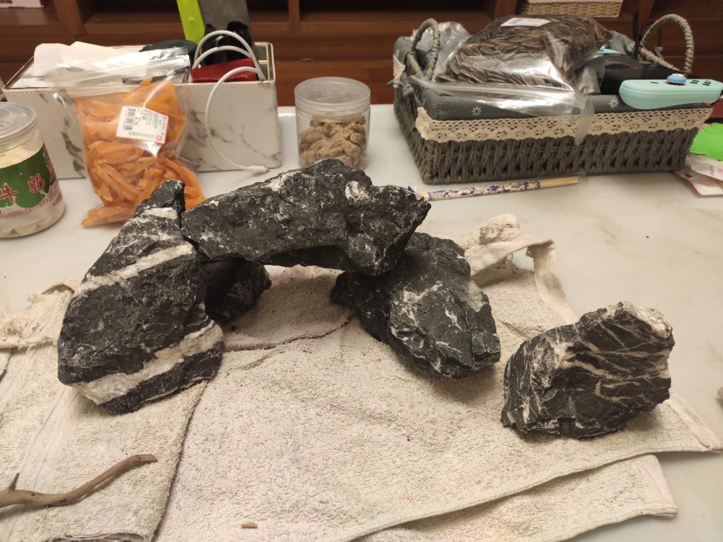 新手养鱼怎么入手？350元，开启养鱼之旅，新手小白开缸记