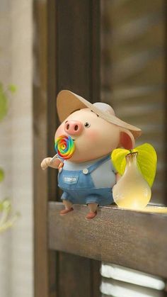 可爱又萌的小猪猪,可爱的小猪猪萌萌哒