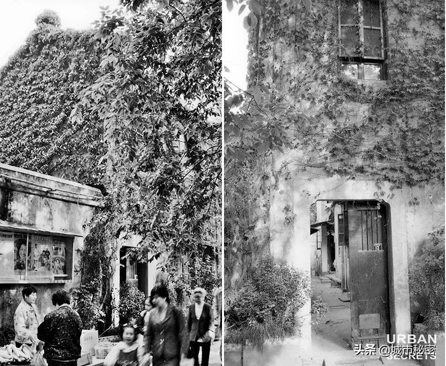 鏉窞瑗挎箹鍥涘ぇ瀹舵棌,鏉窞鍥涘ぇ鏈涙棌