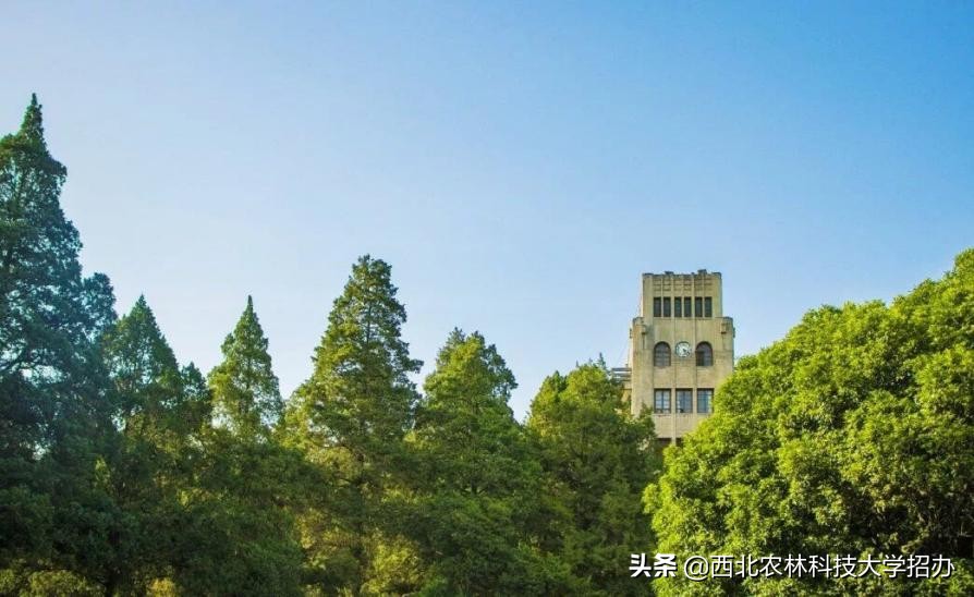 西北农林科技大学实力到底怎么样？这10项数据才是正解