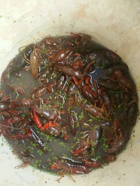 娴峰矝鏈ㄧ瓘婕傛祦,娴峰矝閽撻奔鎺㈤櫓