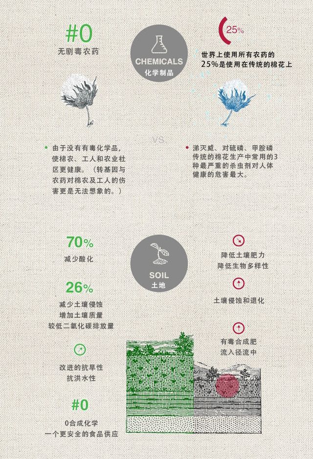 天然有机棉,有机棉越洗越大还是越小