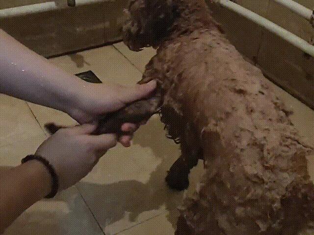 草莓洗澡用的沐浴露,女生草莓味沐浴露