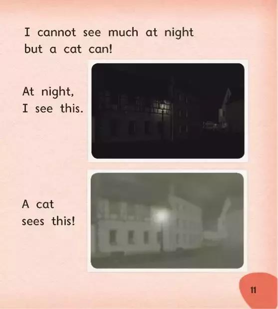 外研社小学英语精品课,外研社小学英语阅读书籍推荐