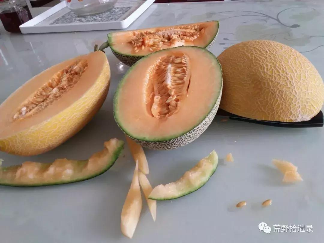 四川适合种植哈密瓜甜瓜品种,甜瓜种植技术新疆哈密瓜