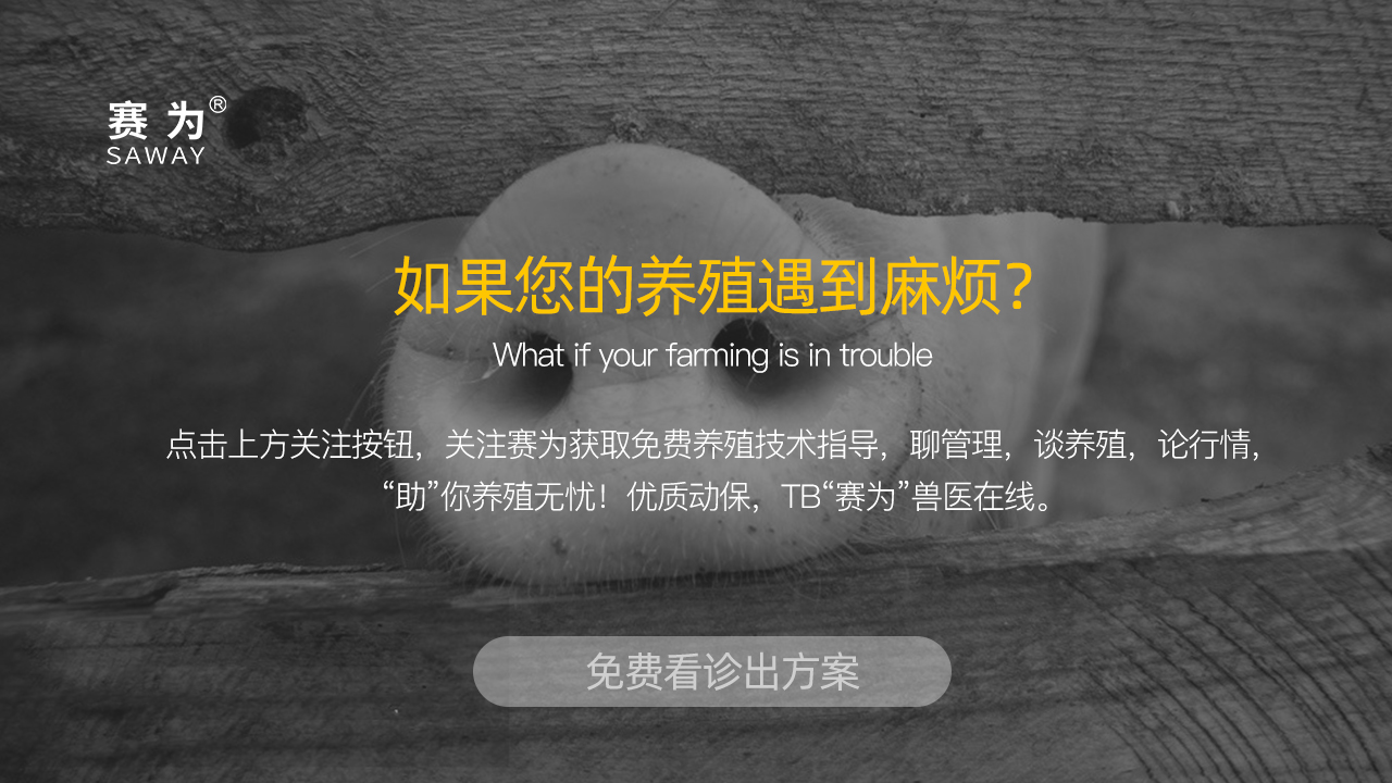 大肠杆菌败血症首选什么药物,猪大肠杆菌病防治方法