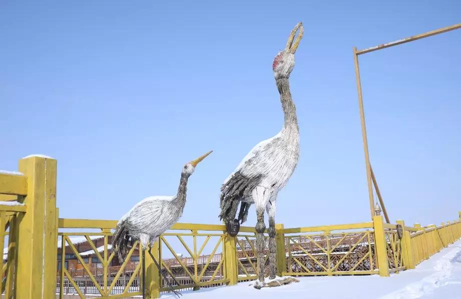 下雪后的海边图片大全,六月份的红海滩