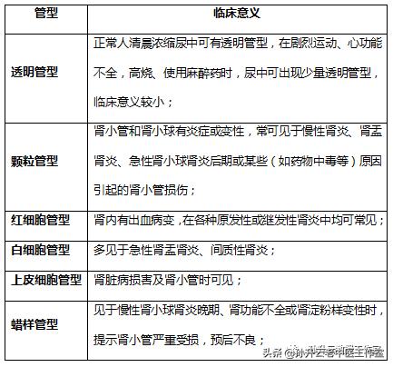 尿白细胞1000多红细胞700多,尿里有红细胞和白细胞是什么病