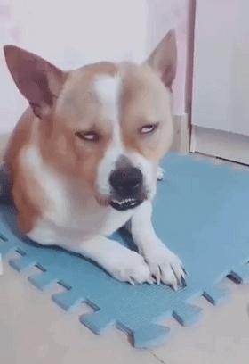 儿子心理有问题怎么办,儿子心理有毛病怎么办