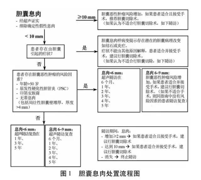 「健康科普」得了胆囊息肉怎么办?