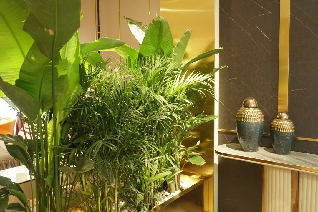 福蒙特2022万商年中采购节,福蒙特2022家居展销会