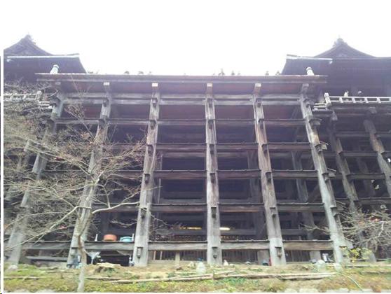 来到日本不能错过章鱼小丸子,去京都不可错过的和服体验