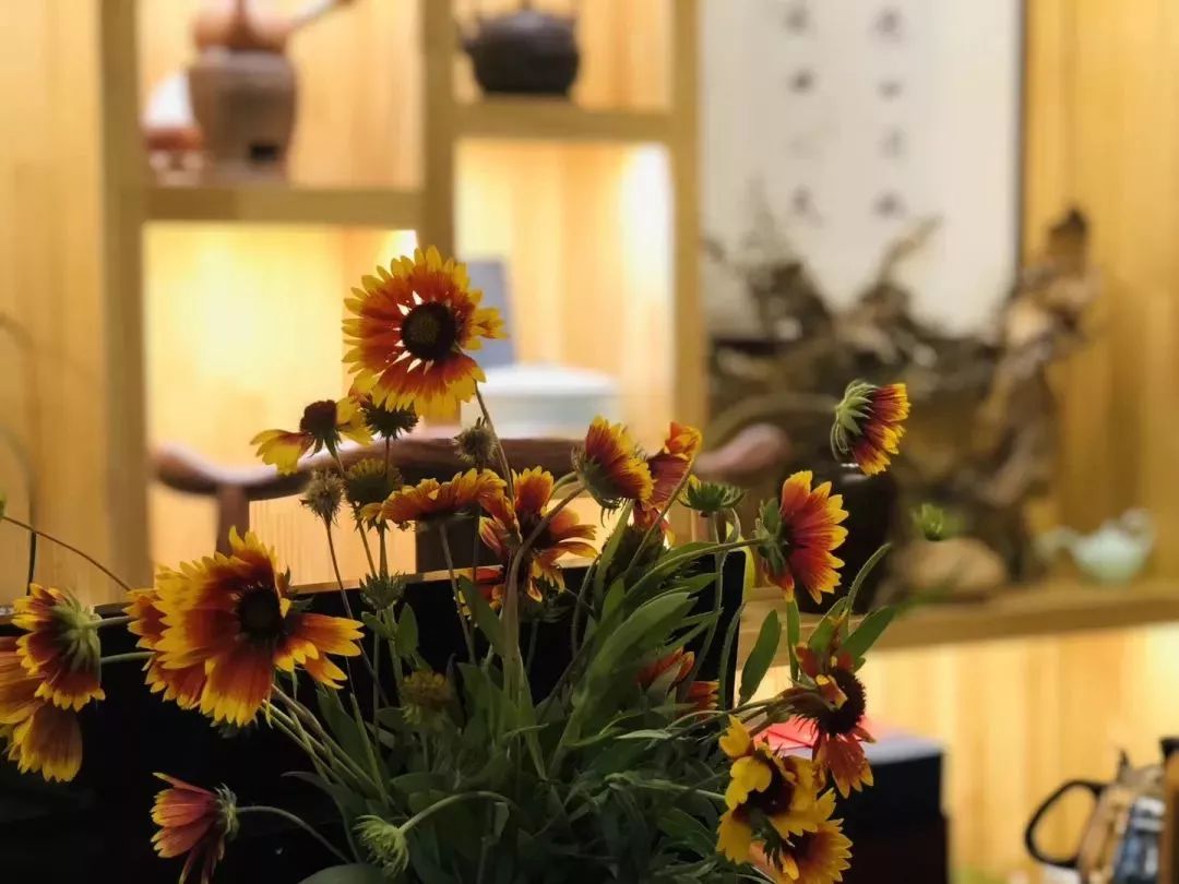 周末玩洱海,假期去大理洱海旅游