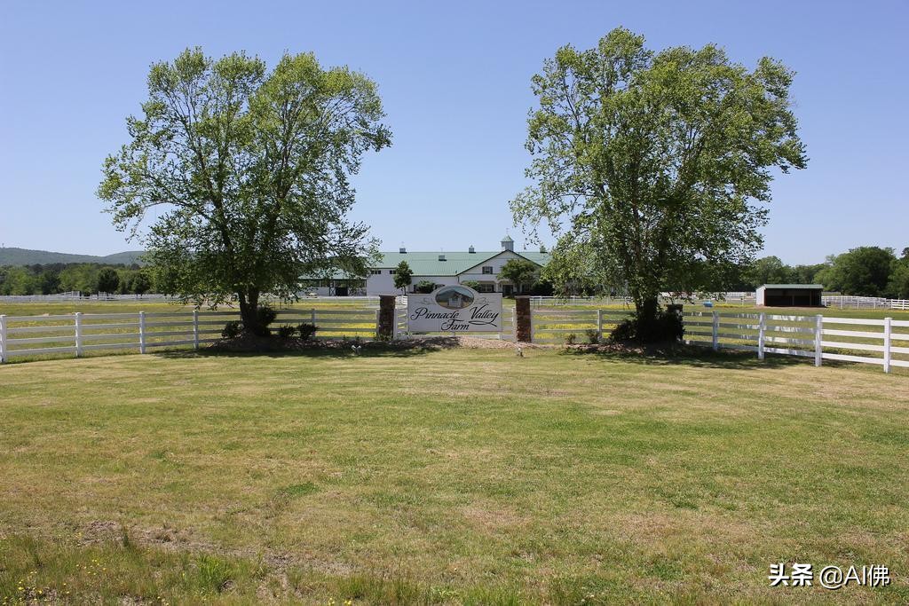 美国农田最多的州,美国哪个州的农场土地肥沃