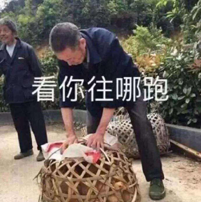 周立波和黄海波的对联,周立波黄海波吴秀波刘强东