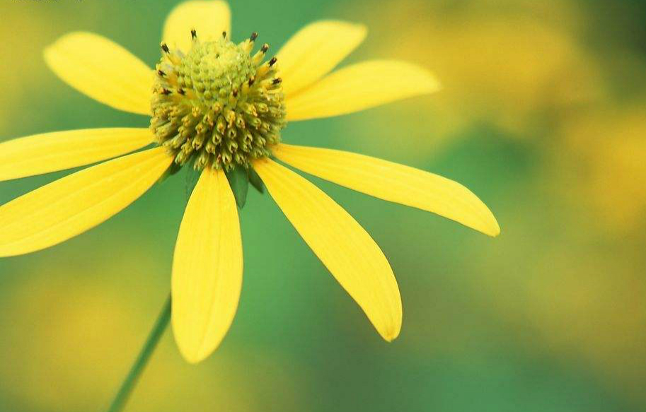 圆滑的人高情商的表现,一个人做事圆滑就是情商高