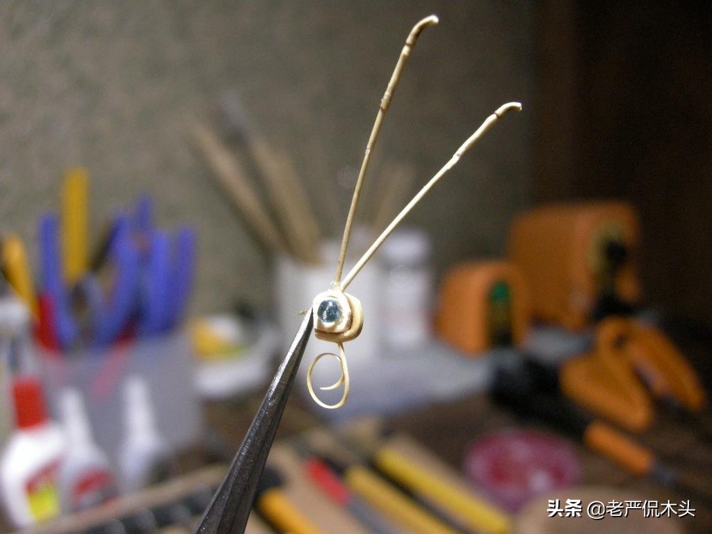 昆虫标本树脂竹节虫,昆虫标本制作竹节虫