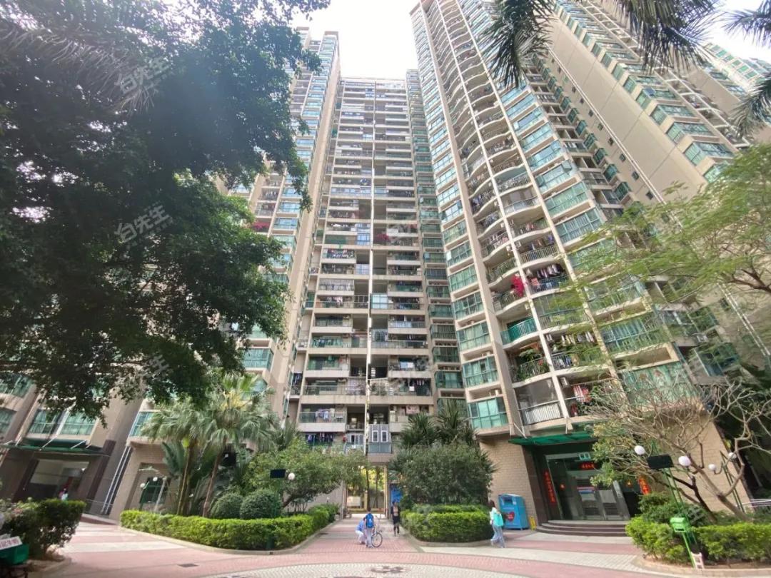 八大录取率名列前茅的二梯队石厦学校，学区房500万起