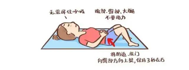 行研｜难言之隐？女性需要知道的盆底肌康复知识