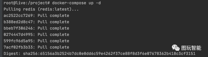 直播源码开发后怎么上线,直播系统源码搭建