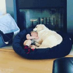 神经衰弱时间长引起睡不着咋办,神经衰弱失眠记忆不好怎么调理