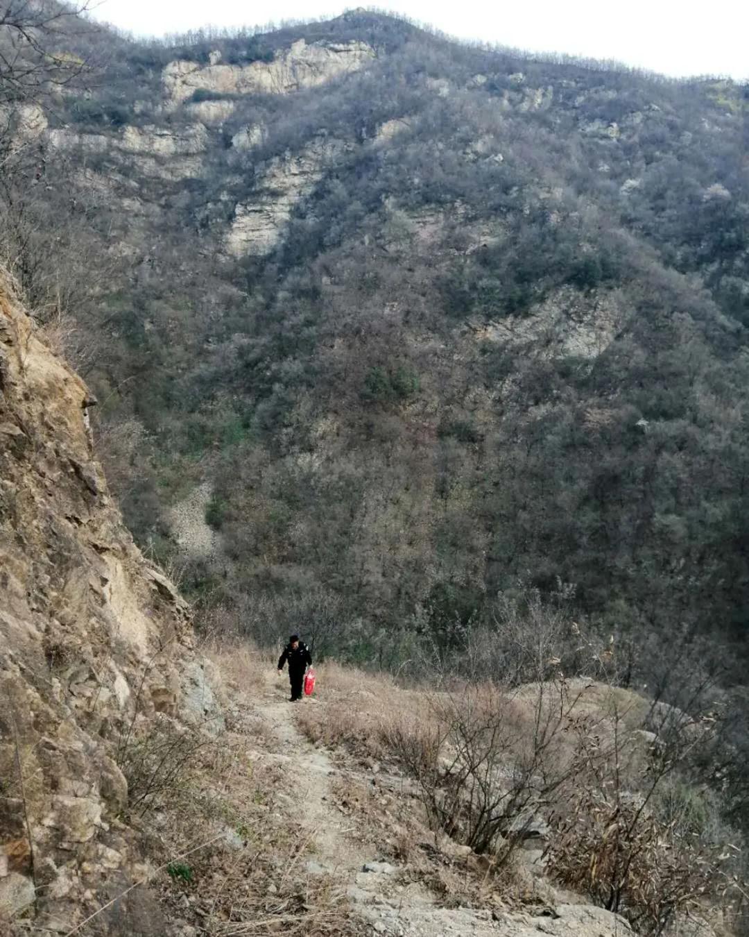 深山看猴记,深山看茶叶视频
