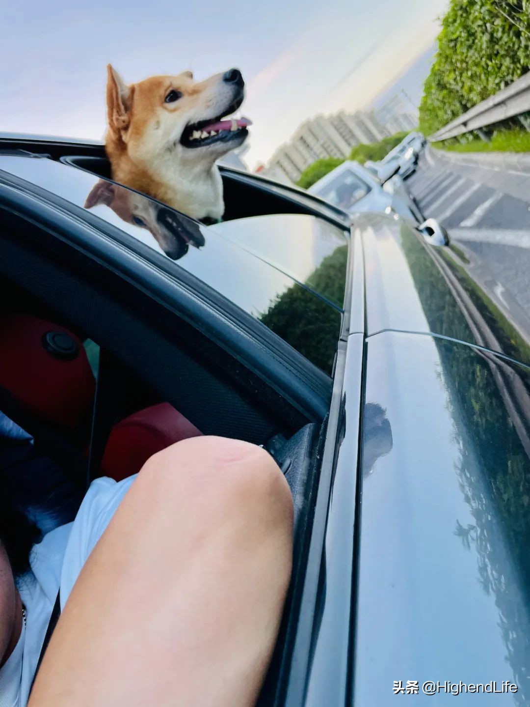 新款大众蔚揽旅行,新大众蔚揽