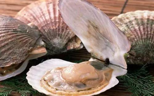 开海什么海鲜最好,开海季肥美海鲜