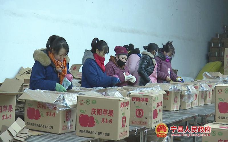 庆新果业电商中心,宁县庆新果业新闻